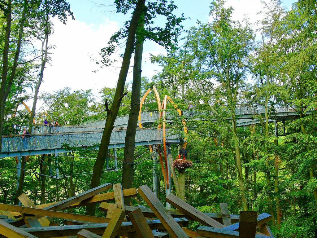 Ferienwohnung Am-Brueckenrain Frankenau Exterior foto